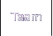 Team