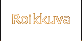 Roikkuva